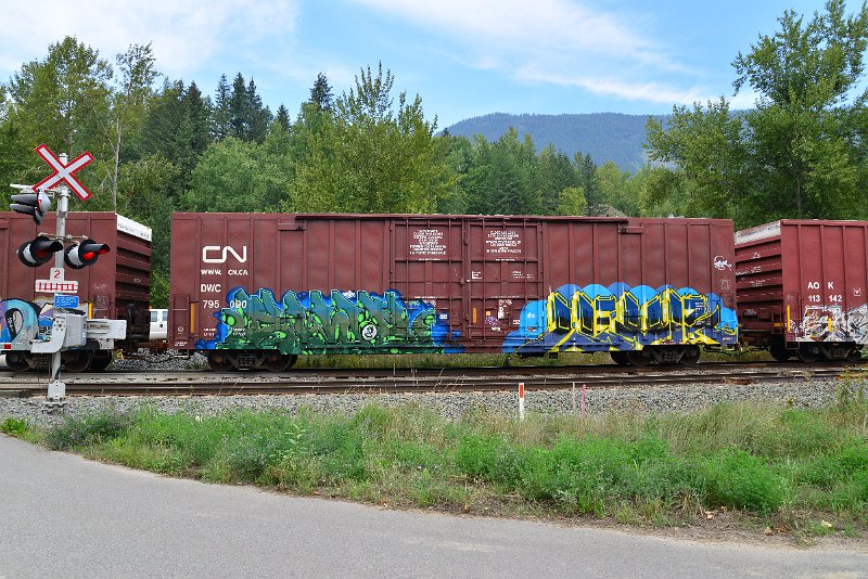 DSC_7251.JPG