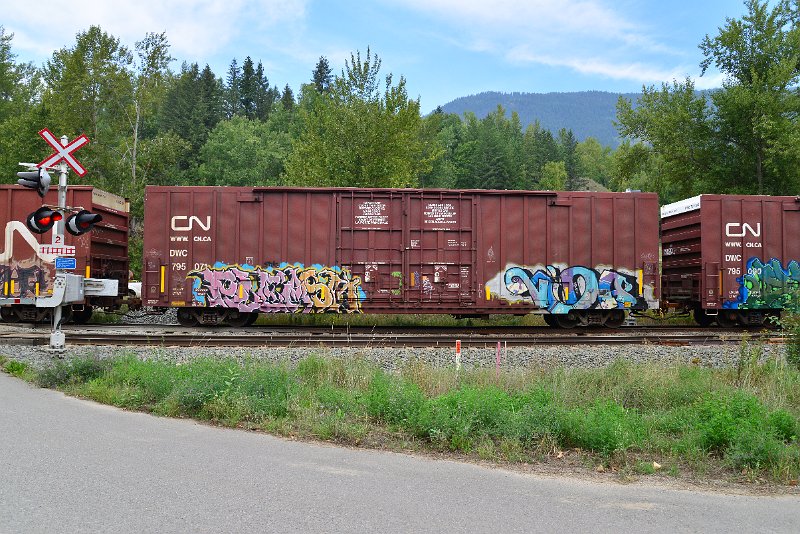DSC_7252.JPG
