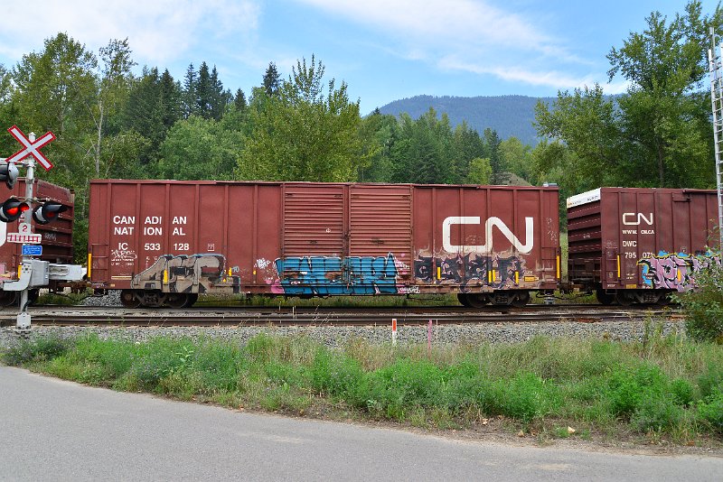 DSC_7253.JPG