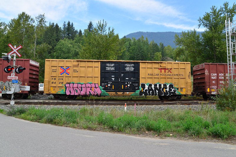 DSC_7255.JPG