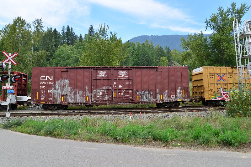 DSC_7259.JPG