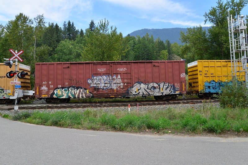 DSC_7263.JPG