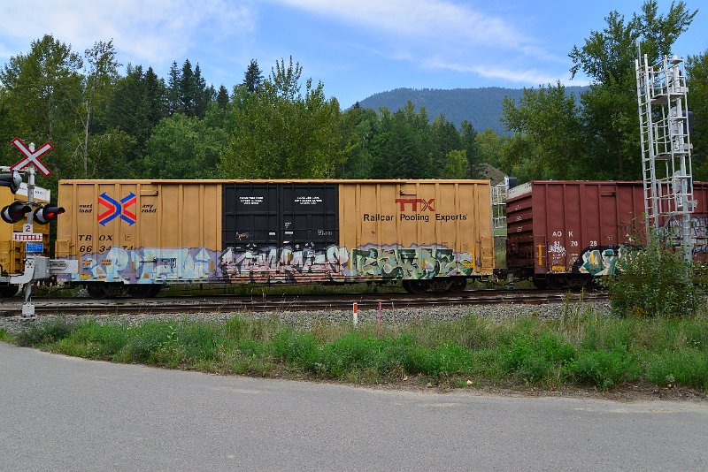DSC_7264.JPG