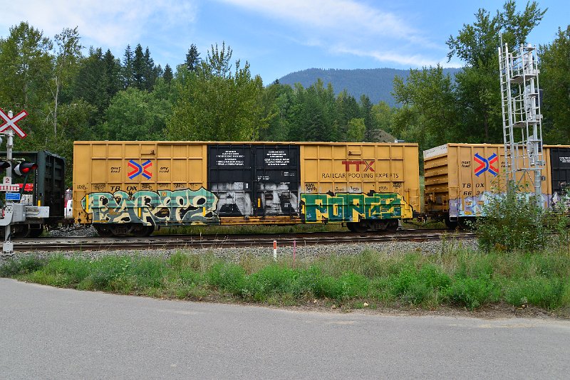 DSC_7265.JPG