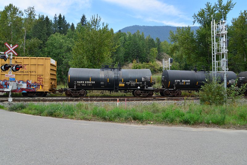 DSC_7281.JPG