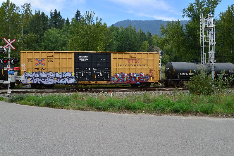 DSC_7282.JPG