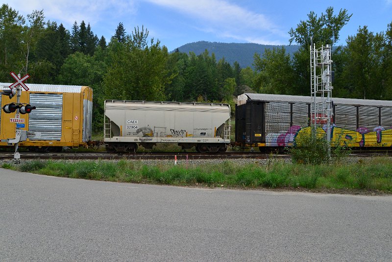 DSC_7290.JPG
