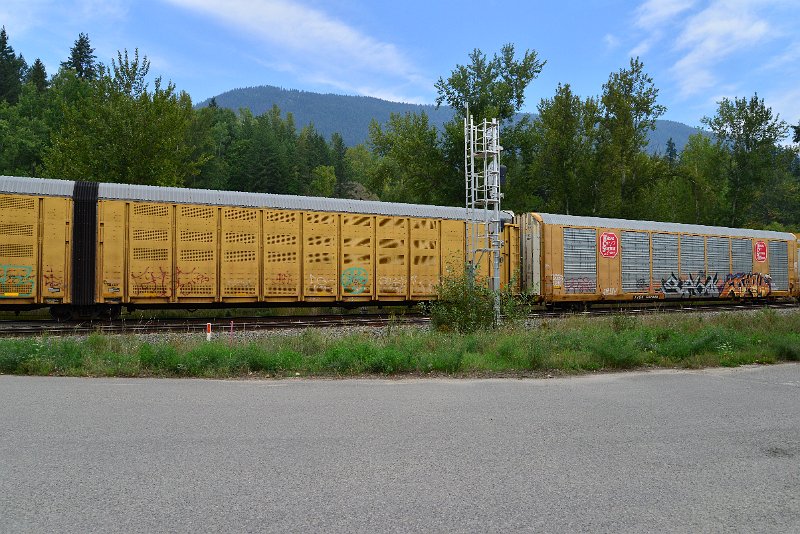 DSC_7293.JPG