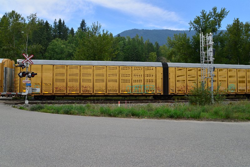 DSC_7294.JPG