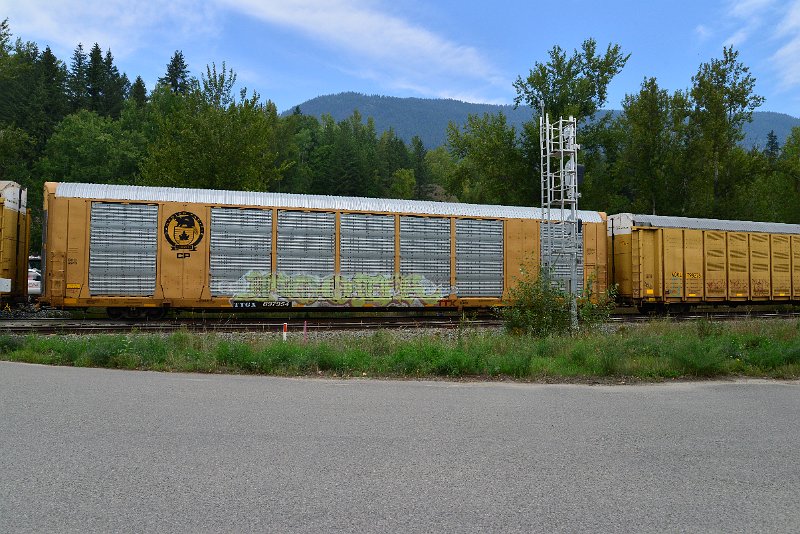 DSC_7295.JPG
