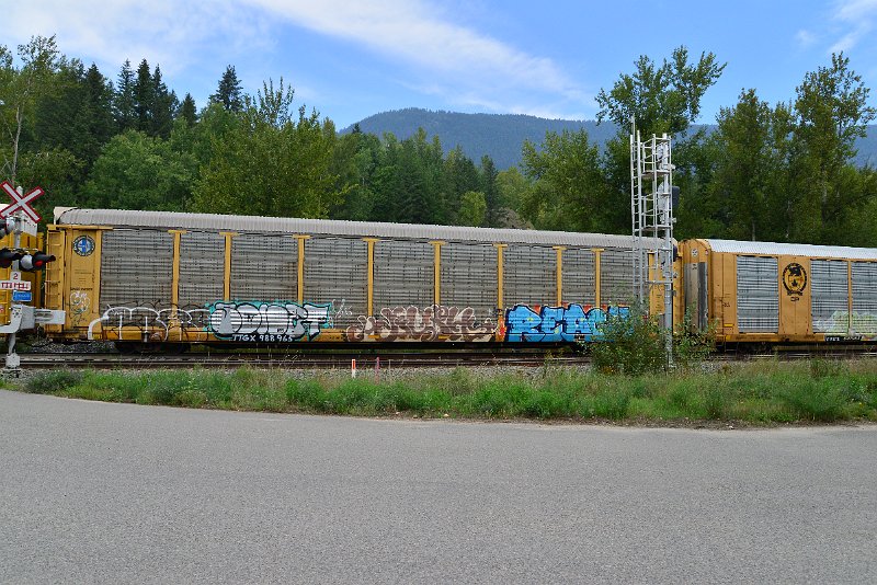 DSC_7296.JPG