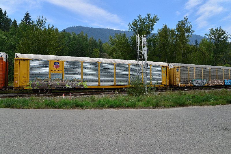 DSC_7297.JPG
