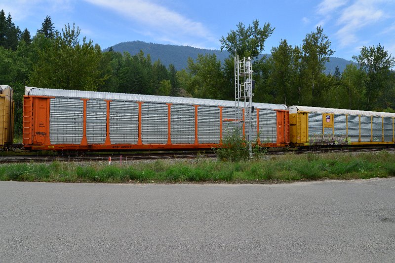 DSC_7298.JPG