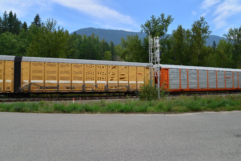 DSC_7299.JPG