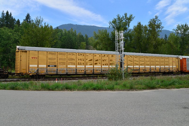 DSC_7300.JPG