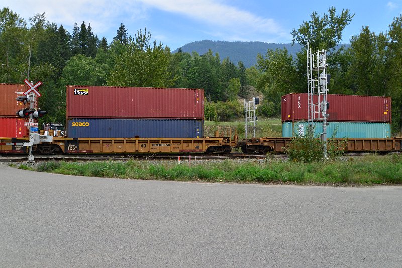 DSC_7307.JPG