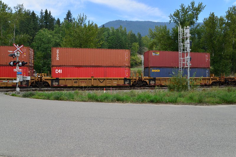 DSC_7308.JPG