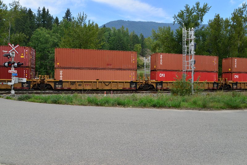 DSC_7310.JPG