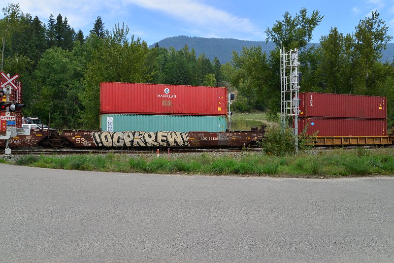 DSC_7313.JPG