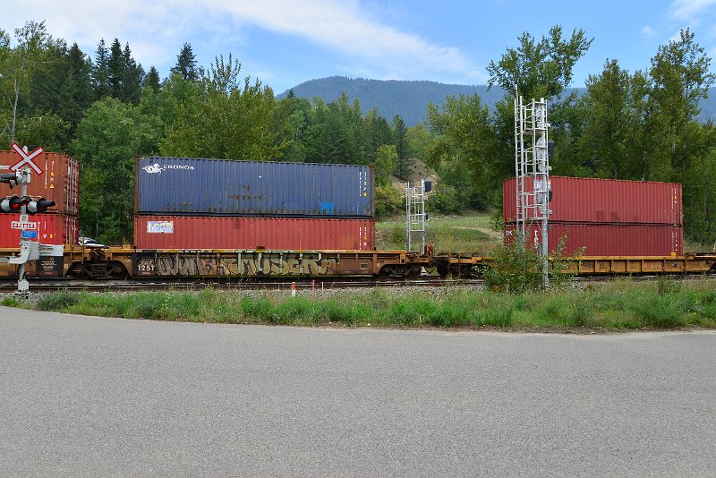 DSC_7318.JPG