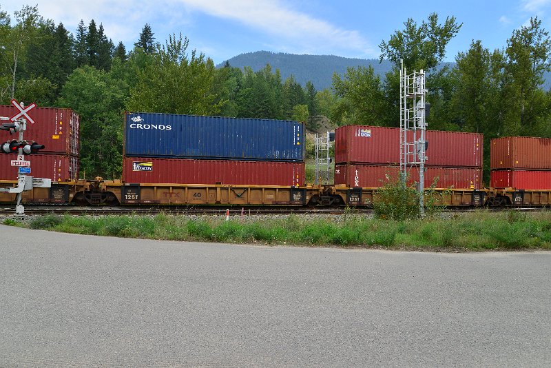 DSC_7321.JPG