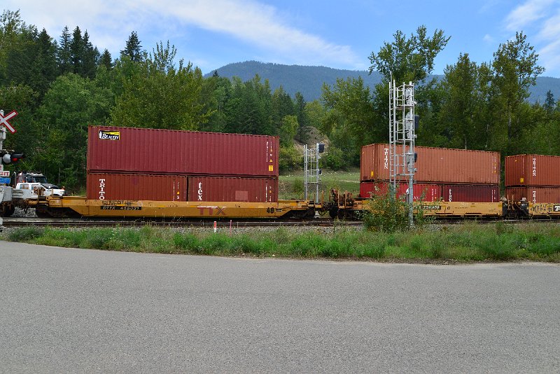 DSC_7331.JPG