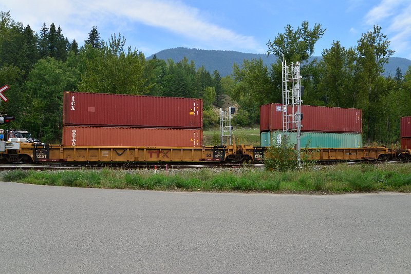 DSC_7334.JPG