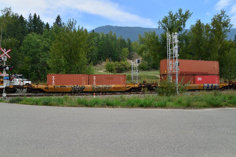DSC_7337.JPG