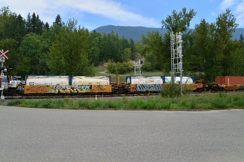 DSC_7339.JPG