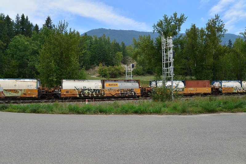DSC_7341.JPG