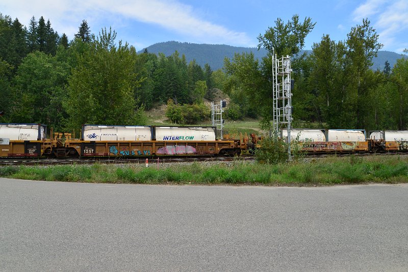 DSC_7343.JPG