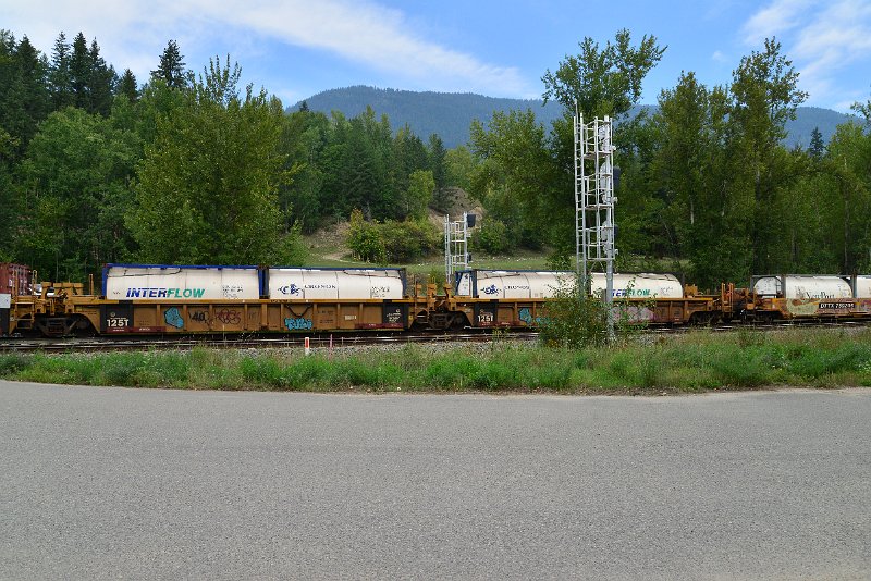 DSC_7344.JPG
