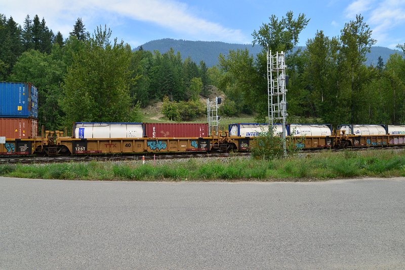 DSC_7345.JPG