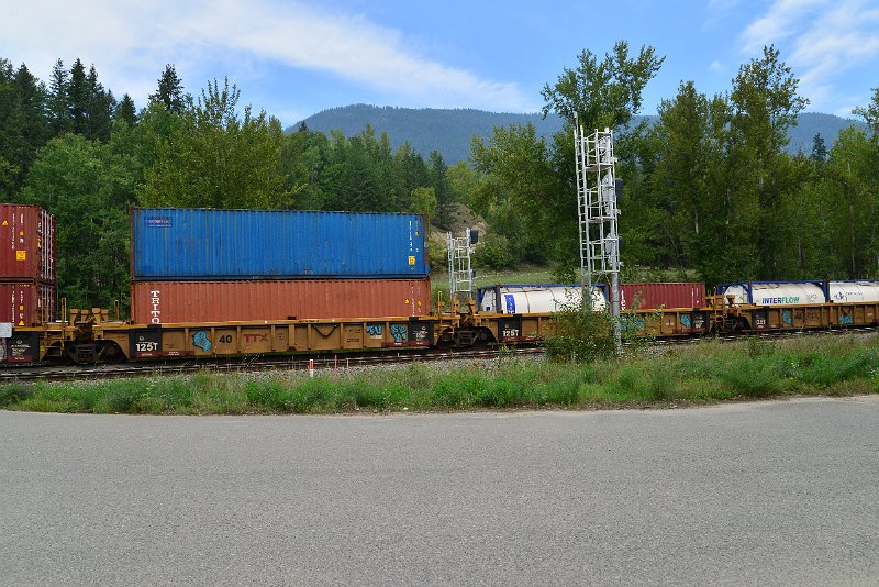 DSC_7346.JPG