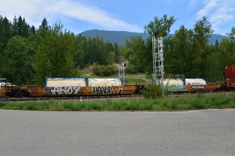 DSC_7349.JPG