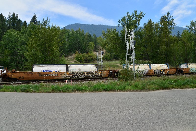 DSC_7350.JPG