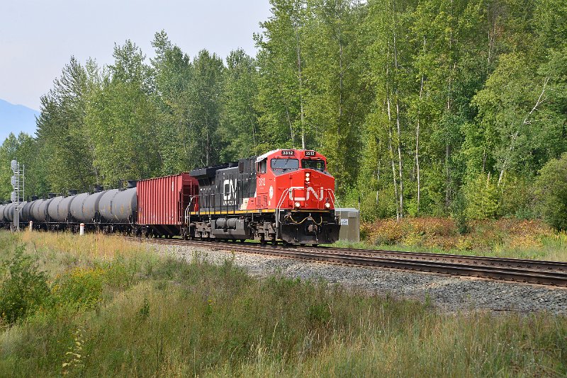DSC_7365.JPG