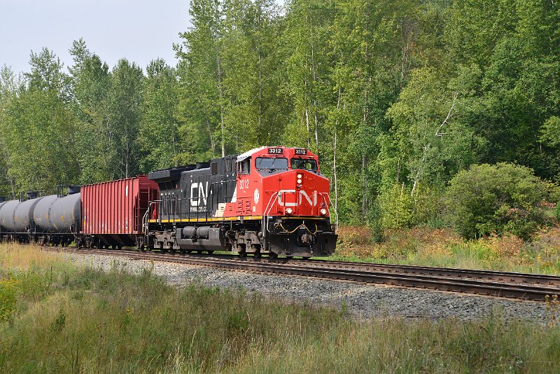 DSC_7367.JPG