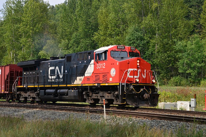 DSC_7368.JPG