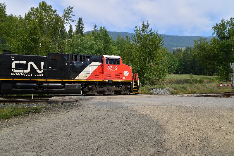 DSC_7373.JPG