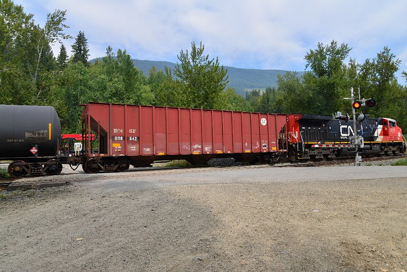 DSC_7375.JPG