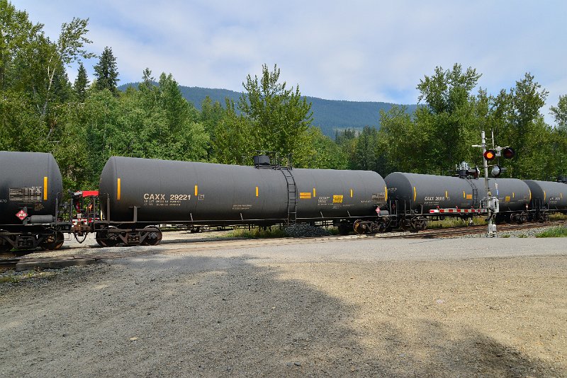 DSC_7464.JPG