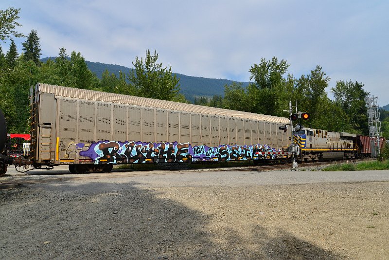 DSC_7478.JPG