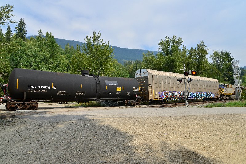 DSC_7479.JPG