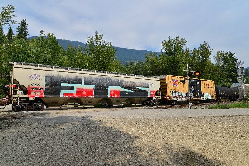 DSC_7481.JPG