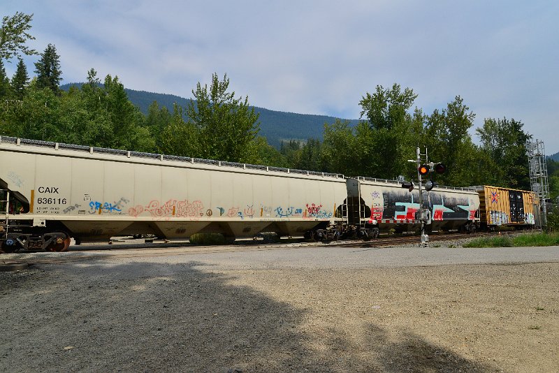DSC_7482.JPG