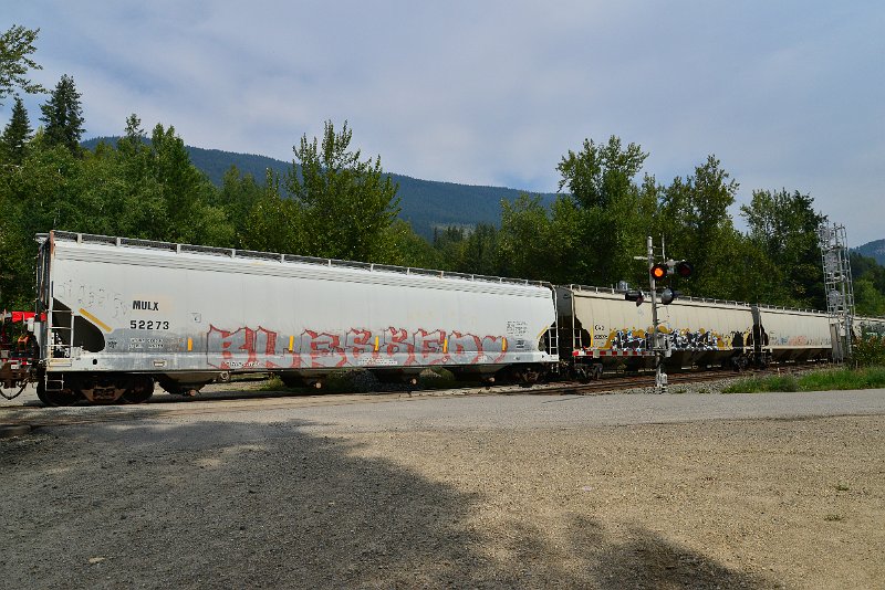 DSC_7484.JPG