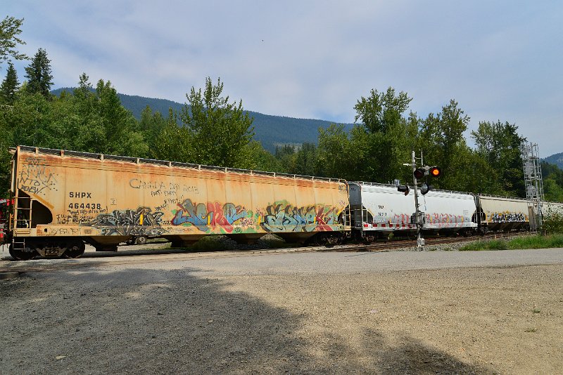 DSC_7485.JPG