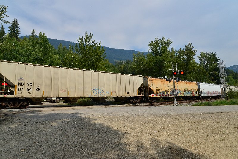 DSC_7486.JPG