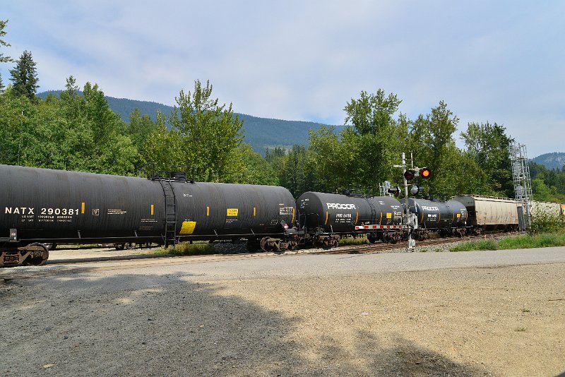 DSC_7490.JPG